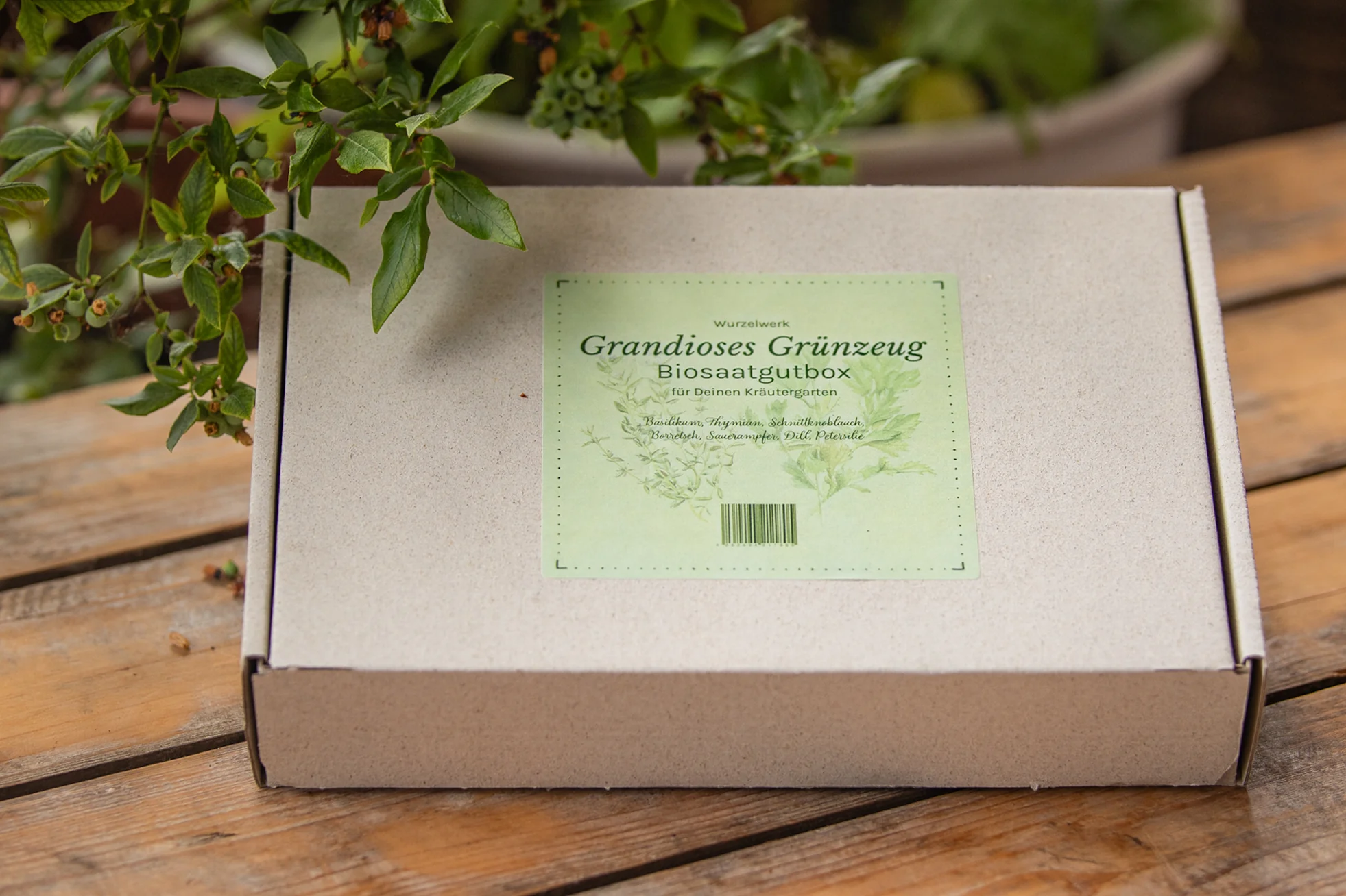 Saatgut-Box ‘Grandioses Grünzeug’ - Image 3