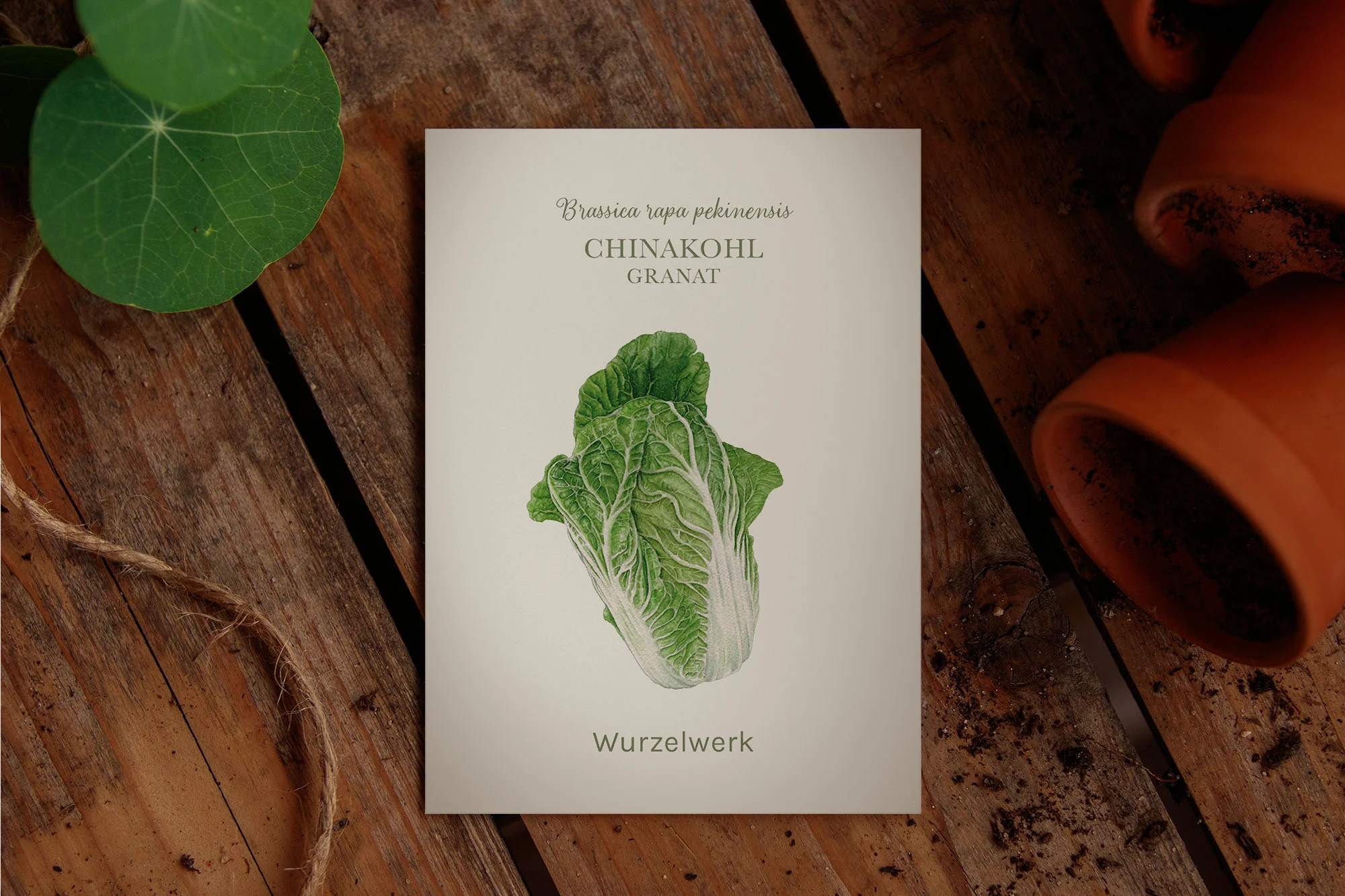 Vorschaubild 2