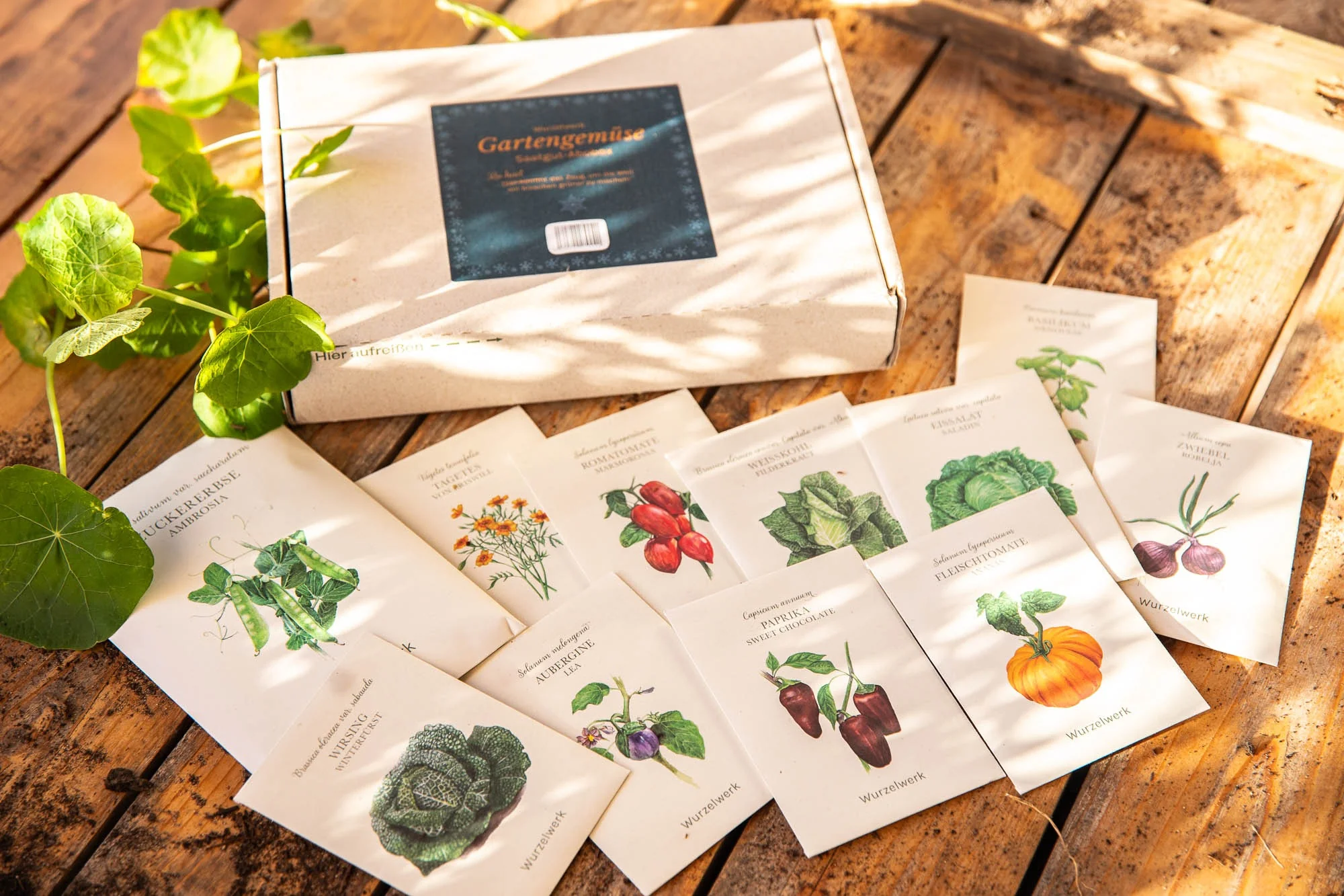 Bio-Saatgut Abobox 'Gartengemüse' - Image 5