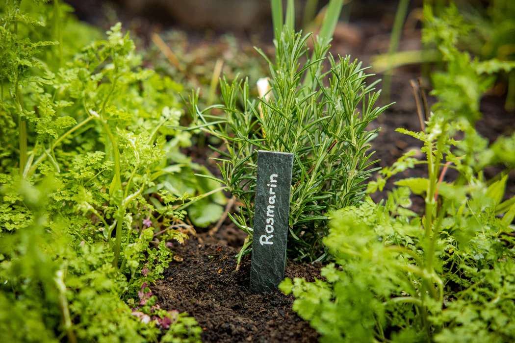Geschenkset "Gartenzauber" - Image 5