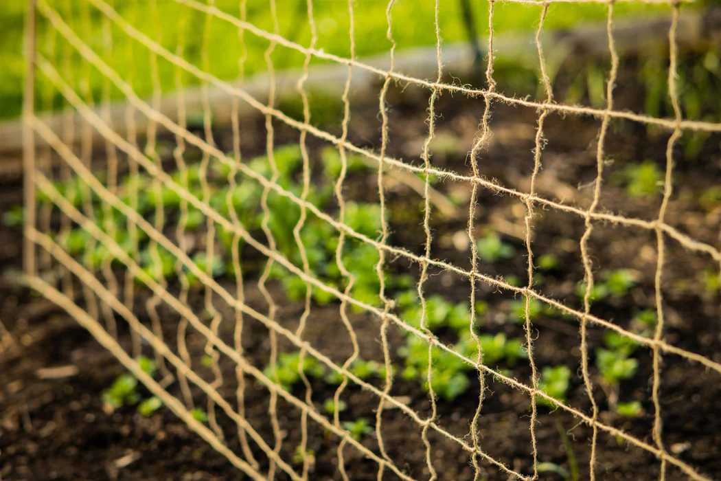 Pflanzen-Kletternetz aus Jute - Image 4