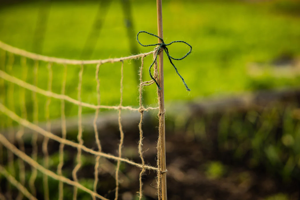 Pflanzen-Kletternetz aus Jute - Image 6