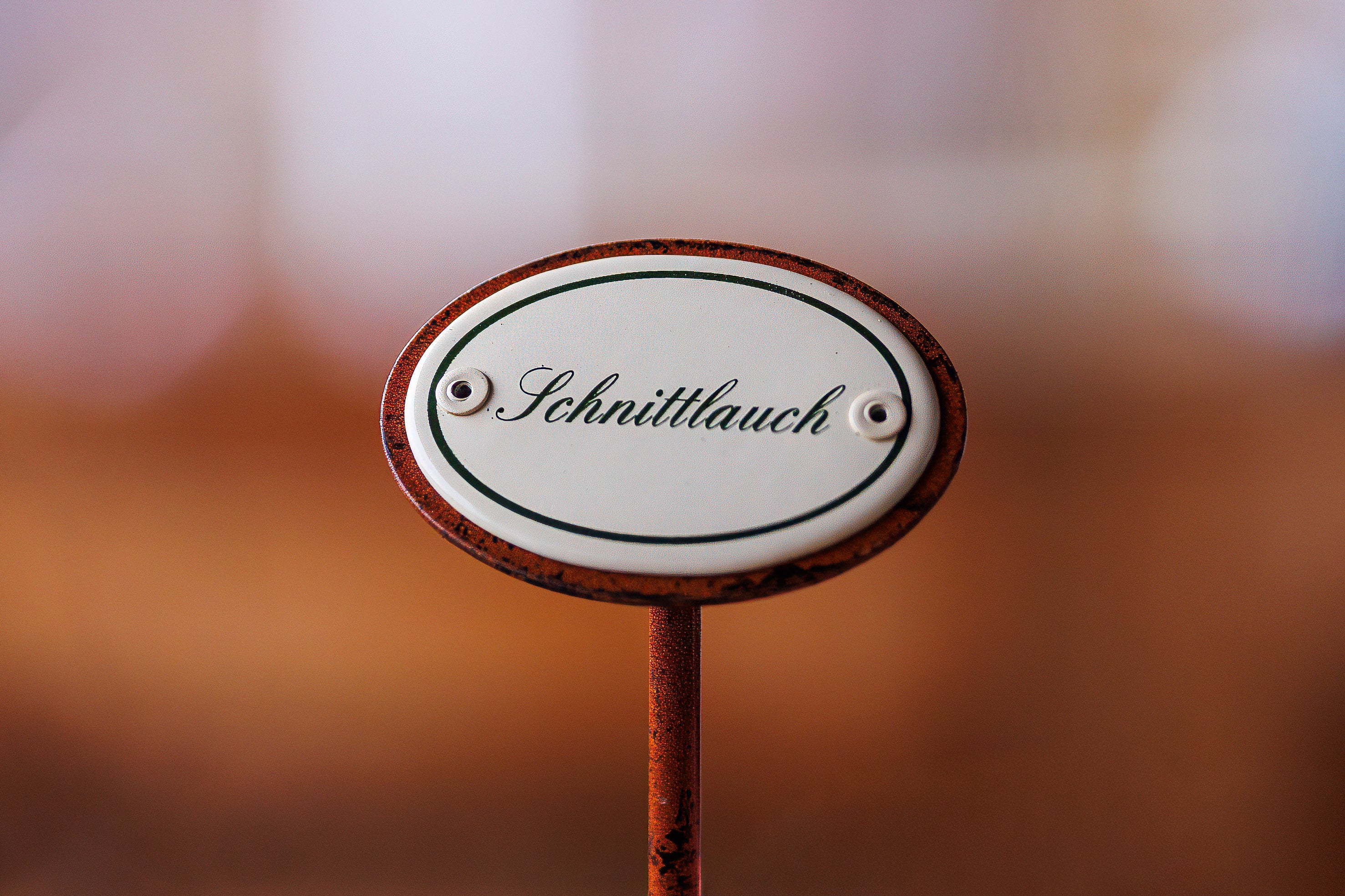 Pflanzschilder fürs Kräuterbeet - Image 14