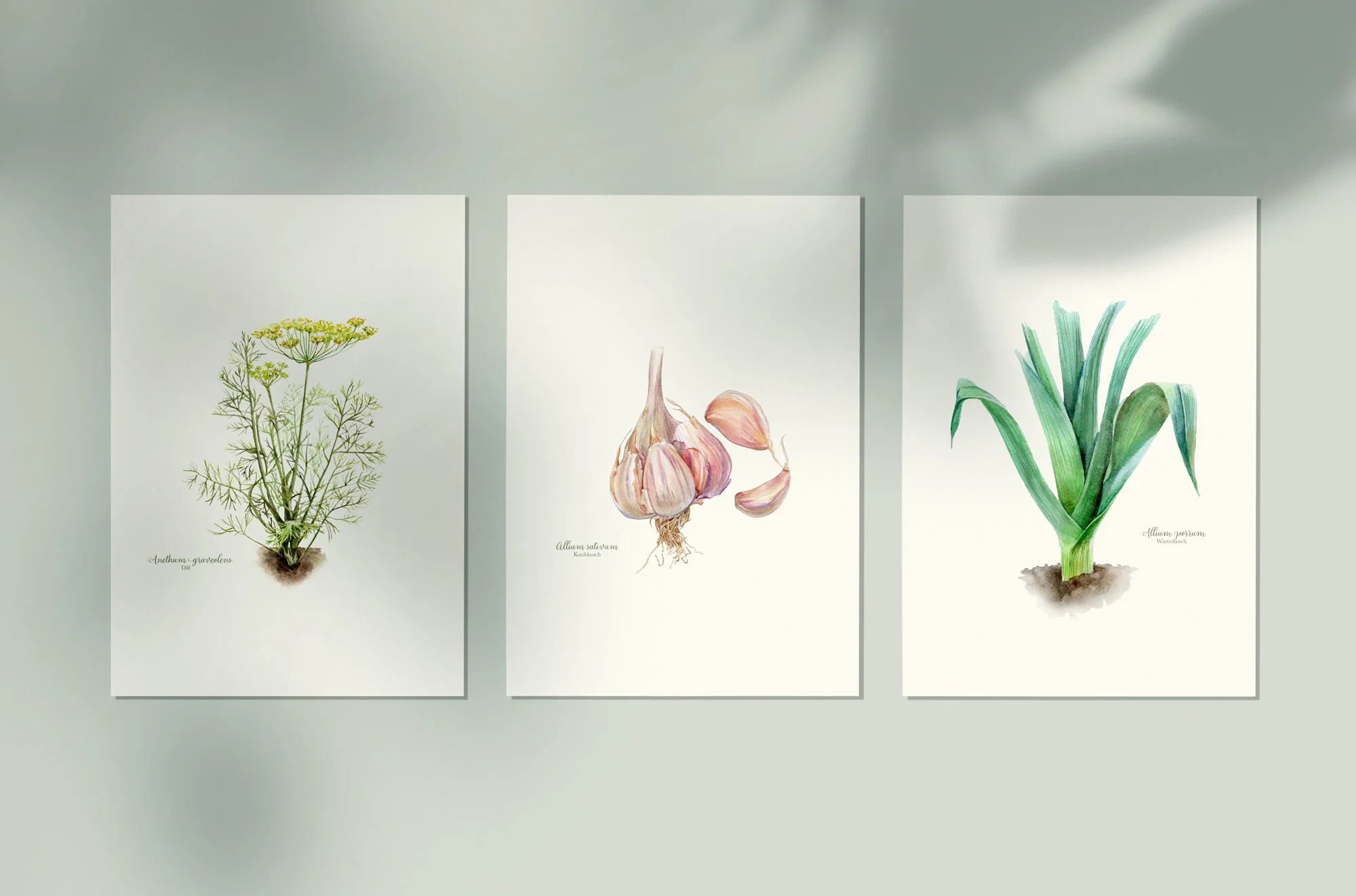 Poster Set 'Lauch, Dill & Knobi'