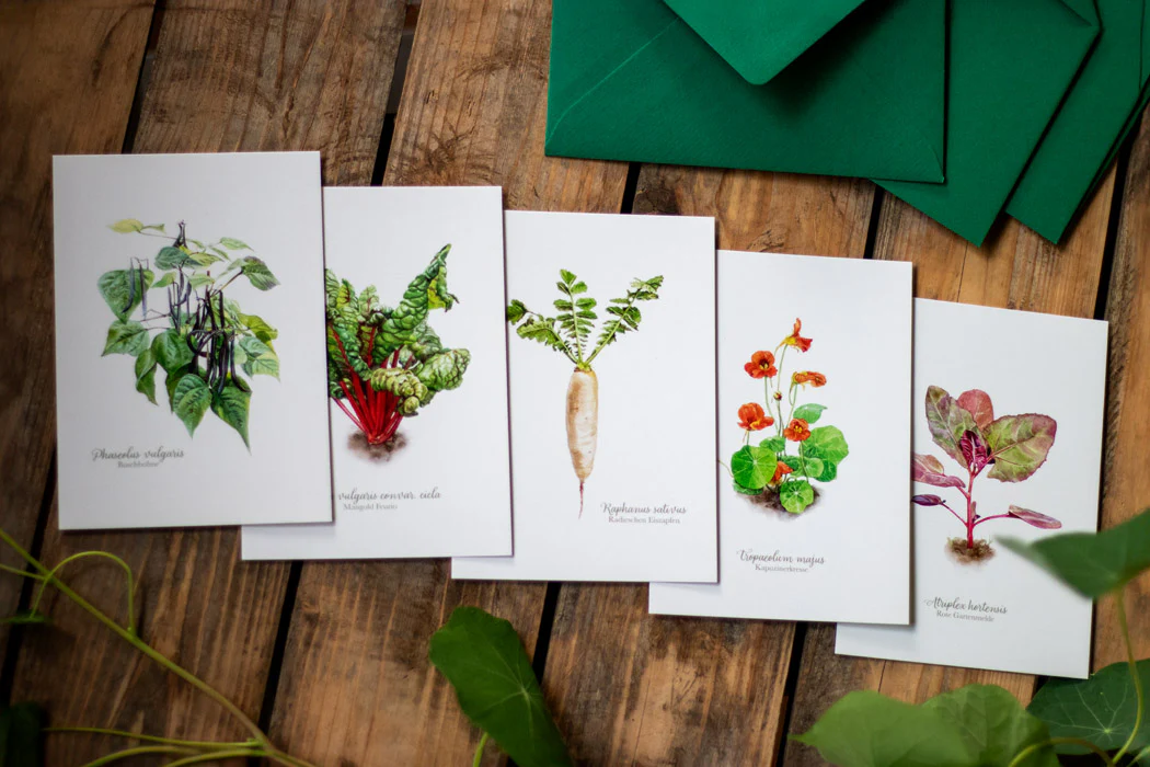 Postkarten Set - Image 2