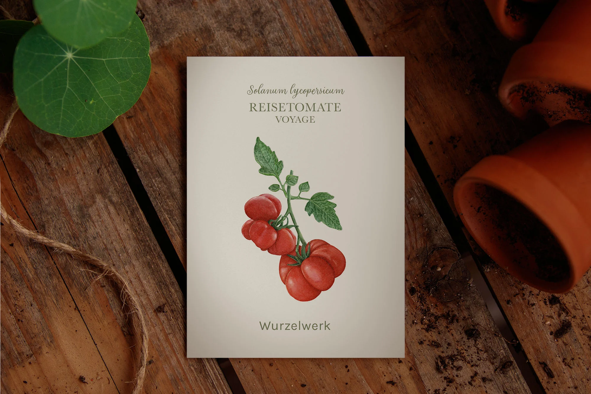 Reisetomate ‘Voyage’ - Image 2