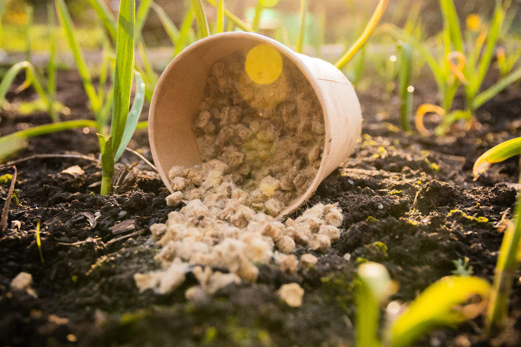 Langzeitdünger aus Schafwollpellets - Image 4
